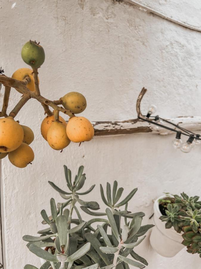 Apartamento C-Alma En El Corazon De Vejer Apartment Vejer de la Frontera Ngoại thất bức ảnh